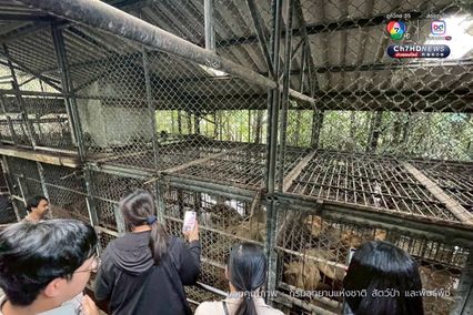 กรมอุทยานฯ สั่งปิดโซนสัตว์ดุร้าย Safari World ชั่วคราว และปรับปรุงให้ได้ตามมาตรฐานความปลอดภัยและสวัสดิภาพสัตว์