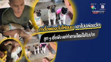 เอ็นดูใครก่อนดี นุดพ่อทหารแนวหน้า กับลูก ๆ น้องหมา ถูกอบรมไม่ให้ดื้อ นั่งตาแป๋วแบบเชื่อฟัง แต่ไม่ทำตาม