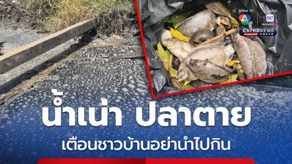 น้ำเน่าปลาตายลอยเต็มคลอง เร่งตรวจสอบมาจากโรงงานหรือไม่