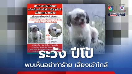 ระวัง ปีโป้ สุนัขพลัดหลง อยู่ระหว่างการเฝ้าระวังโรคพิษสุนัขบ้า
