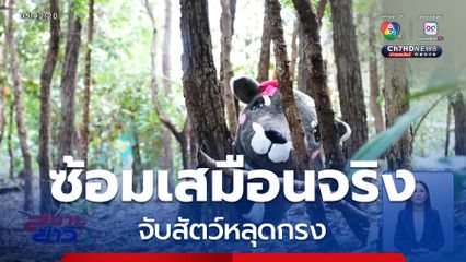 ซ้อมเสมือนจริง จับสัตว์หลุดกรง จ.เชียงใหม่