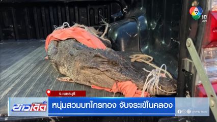 หนุ่มสวมบทไกรทอง จับจระเข้คลองลำภู