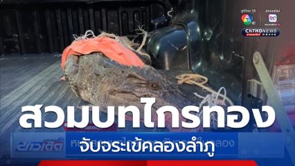 หนุ่มสวมบทไกรทอง จับจระเข้คลองลำภู