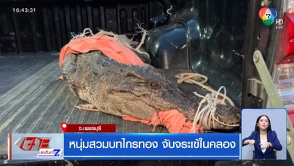 หนุ่มสวมบทไกรทอง จับจระเข้ในคลอง