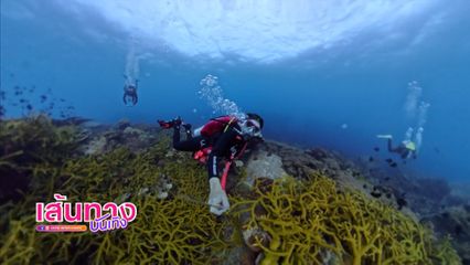 มะเหมี่ยว พรชดา ออกทริปดำน้ำที่เกาะโลซิน พร้อมเปิดตัวหนุ่มคนรู้ใจ