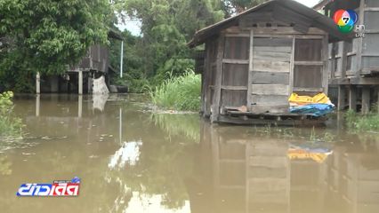 แม่น้ำชีเอ่อล้น ถนนถูกตัดขาด-พระออกบิณฑบาตไม่ได้