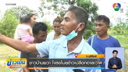 ชาวบ้านผวา โจรขโมยข้าวเปลือกอาละวาด