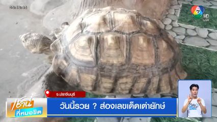 วันนี้รวย ? ส่องเลขเด็ดเต่ายักษ์