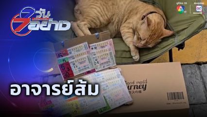 7 วัน 7 อย่าง : อาจารย์ส้ม