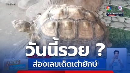 วันนี้รวย ? ส่องเลขเด็ดเต่ายักษ์