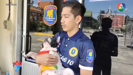 กู้ภัยใจหล่อ ช่วยน้องหมาตกน้ำ จ.ชลบุรี