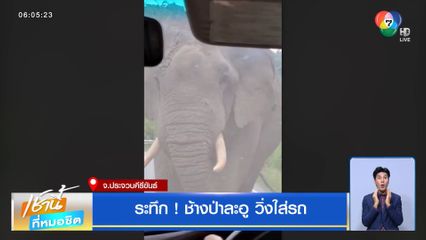 ระทึก! ช้างป่าละอู วิ่งใส่รถ