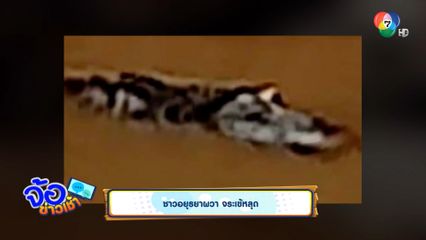 ชาวอยุธยาผวา จระเข้หลุด