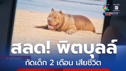 สุนัขพิตบุลล์ กัดเด็ก 2 เดือน เสียชีวิต
