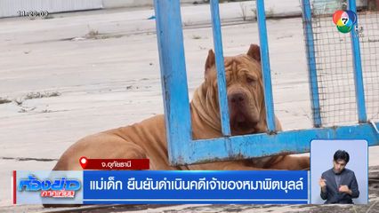 แม่เด็ก ยืนยันดำเนินคดีเจ้าของหมาพิตบุลล์ จ.อุทัยธานี