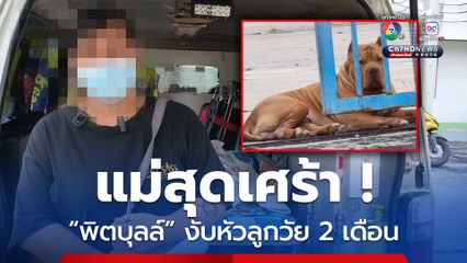 เล่านาทีสลด ! พิตบุลล์งับหัวทารกหญิง 2 เดือนลงจากเปล คาบวิ่งเล่น