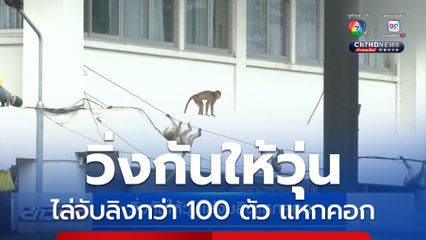วิ่งกันให้วุ่นไล่จับลิงแหกคอก