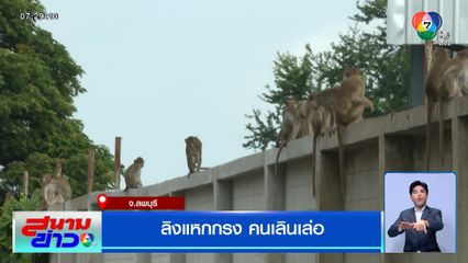 รายงานพิเศษ : ลิงแหกกรง คนเลินเล่อ