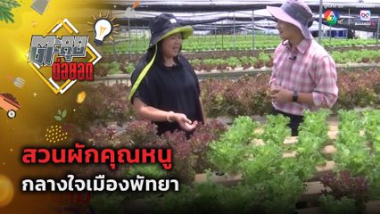 ตะลุยต่อยอด : สวนผักคุณหนู กลางใจเมืองพัทยา