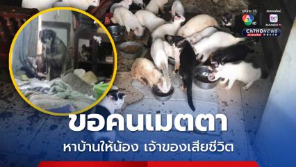 เวทนาชีวิตหมา-แมว 23 ตัว เจ้าของเสียชีวิตนาน 3 วัน วอนคนเมตตารับเลี้ยงต่อ