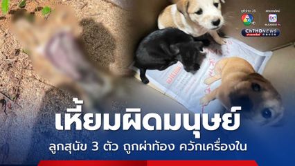 สลด พบลูกสุนัข 3 ตัว ถูกผ่าท้องควักเครื่องใน ทิ้งซากไว้ริมถนน