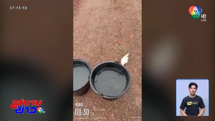 ตรวจสอบคุณภาพน้ำสวนมะพร้าว