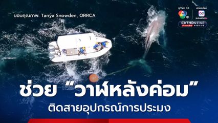 ช่วย “วาฬหลังค่อม” ติดสายอุปกรณ์การประมง กลางทะเลออสเตรเลีย