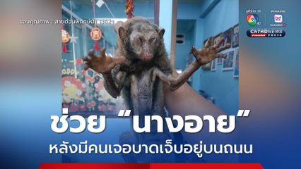 ช่วย “นางอาย” หลังมีคนเห็นบาดเจ็บอยู่บนถนน