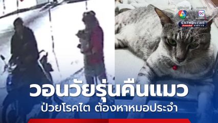 วอนวัยรุ่นพาแมวมาคืน รู้ว่ารักแต่แมวป่วยต้องหาหมอประจำ