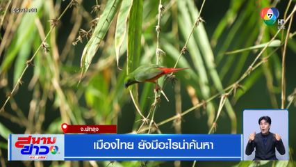 เมืองไทย ยังมีอะไรน่าค้นหา จ.พัทลุง