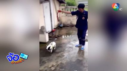 กู้ภัยใจหล่อ ช่วยน้องหมาตกน้ำ จ.ชลบุรี
