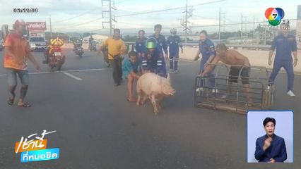 กู้ภัยทำได้ทุกอย่าง