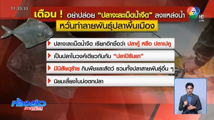 ปลาจะละเม็ด ดำดุ กัดนิ้วคน