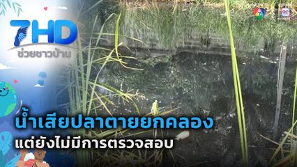 น้ำเสียปลาตายยกคลอง แต่ยังไม่มีการตรวจสอบ