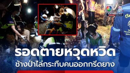 ช้างป่าทำร้ายคน รอดตายหวุดหวิด ออกไปกรีดยางเช้ามืด ถูกช้างป่าไล่กระทืบบาดเจ็บ