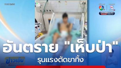 อันตราย "เห็บป่า" รุนแรงตัดขาทิ้ง