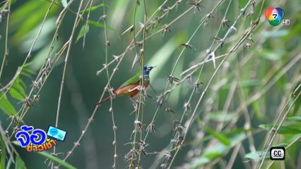 เมืองไทย ! ยังมีอะไรน่าค้นหา