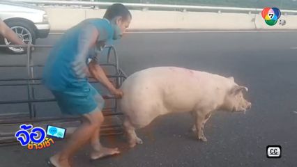 กู้ภัยทำได้ทุกอย่าง