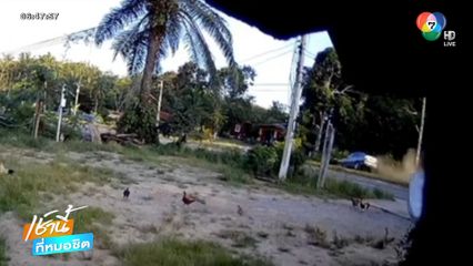 หักหลบหมา รถเก๋งเสียหลักข้ามเกาะกลางชนศาลา จ.นครศรีธรรมราช