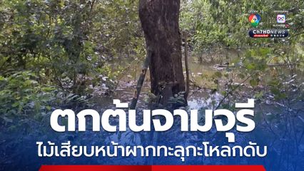 ตกต้นจามจุรี ไม้เสียบหน้าผากทะลุกะโหลกดับ