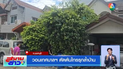 วอนเทศบาลฯ ตัดต้นไทรรุกล้ำบ้าน