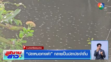 ปลาหมอคางดำ กลายเป็นปลาประจำถิ่น