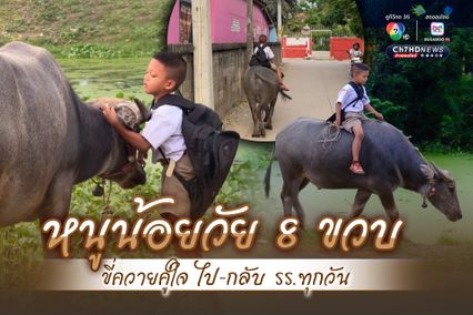 น้องฟลุ๊ค หนูน้อยวัย 8 ขวบ ขี่ควายคู่ใจ ไป-กลับ โรงเรียนทุกวัน