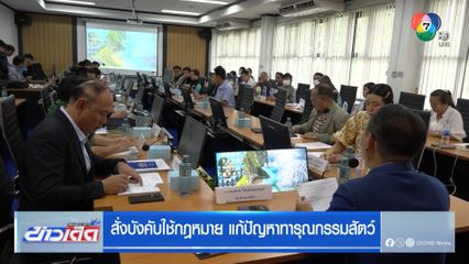 สั่งบังคับใช้กฎหมาย แก้ปัญหาทารุณกรรมสัตว์