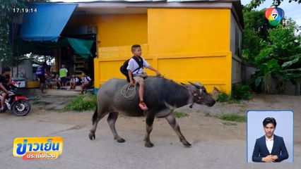 "ไอ้คล้าว" มาแล้ว เด็กขี่ควายไปโรงเรียน