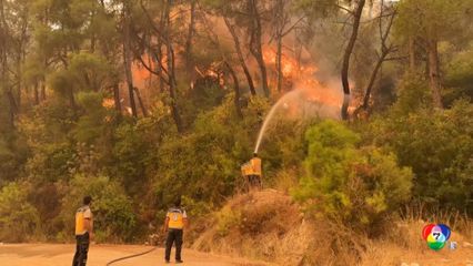 ซีเรีย เร่งควบคุมสถานการณ์ไฟป่า