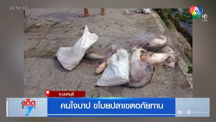 คนใจบาป ขโมยปลาเขตอภัยทาน จ.นนทบุรี