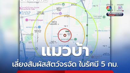 แมวป่วยพิษสุนัขบ้า ประกาศเตือนเฝ้าระวังในรัศมี 5 กม.