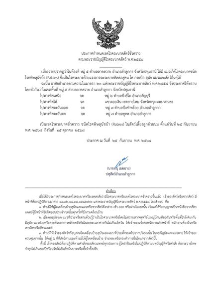 แมวป่วยพิษสุนัขบ้า ประกาศเตือนเฝ้าระวังในรัศมี 5 กม.