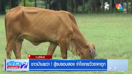 ชาวบ้านผวา ! สู้รบรอบสอง จำใจขายวัวราคาถูก